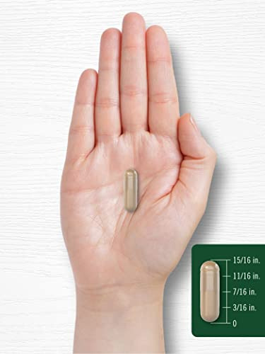 Suplemento Carlyle Amla Fruit 1500mg 120 Cápsulas Não Transg - Imagem 7
