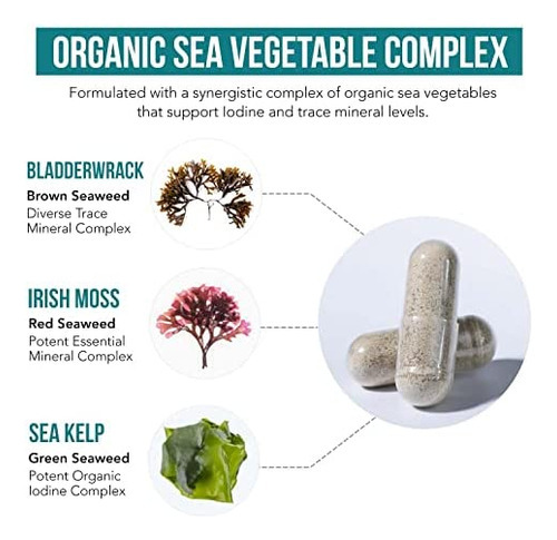 Suplemento De Iodo Orgânico Do Complexo De Vegetais Marinho - Imagem 3