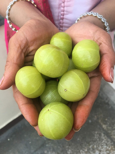 Puro Pó De Amla Orgânico De Alimentos Indianos, 8 Onças, Ama - Imagem 4