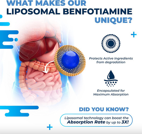 Nurafuse Benfotiamina Lipossomal 600mg Com Vitamina B6, Vita - Imagem 6