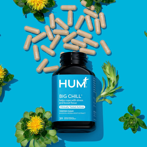 Suplemento Hum Big Chill Com 500 Mg De Rhodiola Rosea 30 Cáp - Imagem 5
