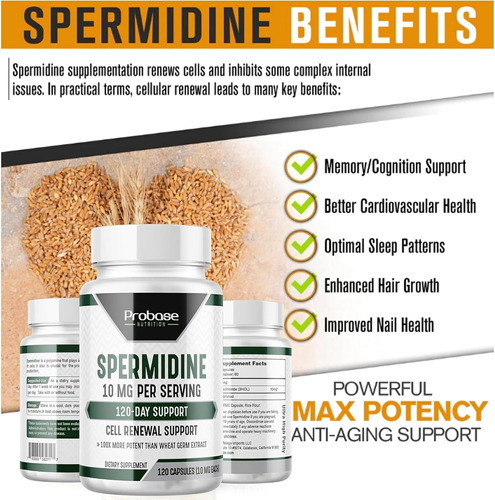 Probase Nutrition Espermidina (10 Mg De 99% De Espermidina 3 - Imagem 3
