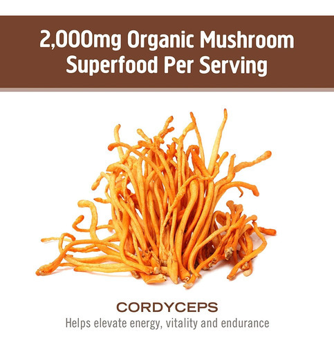 Om Mushroom Superfood Cordyceps Mushroom Capsules Suplemento - Imagem 6