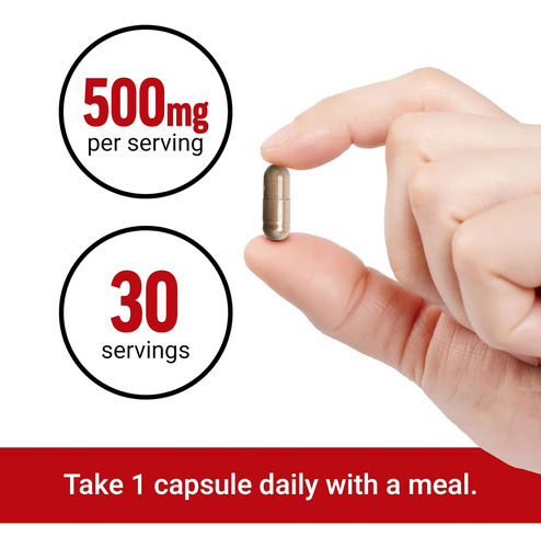 Force Factor Longjack Tongkat Ali 500mg Para Os Hormônios Ma - Imagem 4
