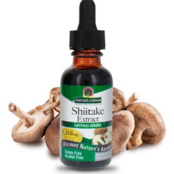 Natures Answer Extrato De Cogumelo Shiitake Sem Álcool 1 Onç
