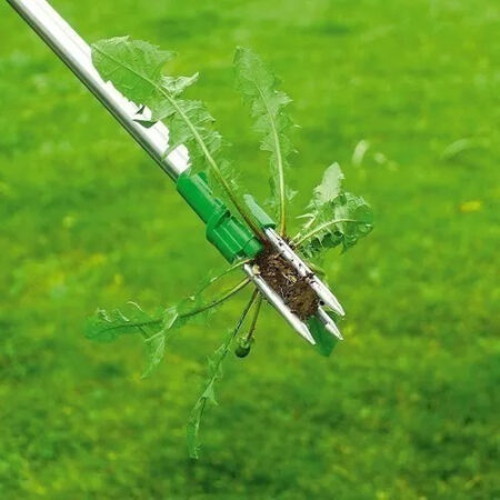 Extrator Automático De Polegadas Pragas Weed Começa A Se Lev — foto 2 Extrator Automático De Polegadas Pragas Weed Começa A Se Lev — foto 2