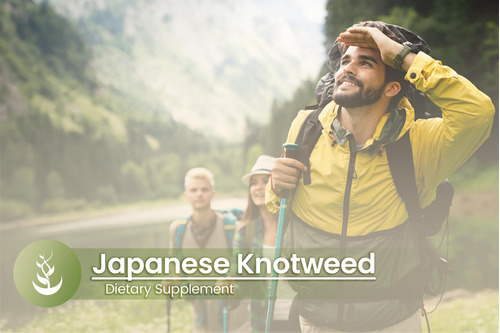 Suplemento De Ingredientes Originais Puros: Japanese Knotwee - Imagem 5
