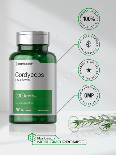 Cápsulas De Cogumelo Cordyceps Horbäach 2000 Mg | Contagem 2 - Imagem 5