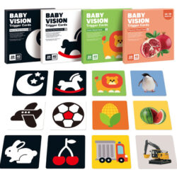 Cartão De Brinquedo De Treinamento Visual Para Educação Infa