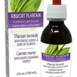 Naturalma Ribwort Banana Ou Narrowleaft Banana (plantago Lan