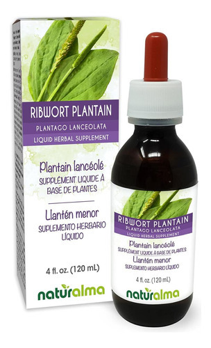 Naturalma Ribwort Banana Ou Narrowleaft Banana (plantago Lan