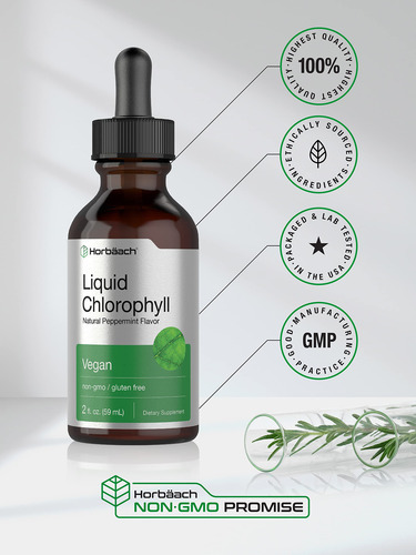 Suplemento De Clorofila Líquida Horbaach 60ml Vegano Não Tra - Imagem 5