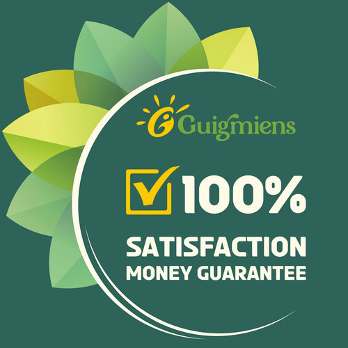 Suplemento Guigmiens Glutationa Lipossomal 2000 Mg Com Ha + - Imagem 5