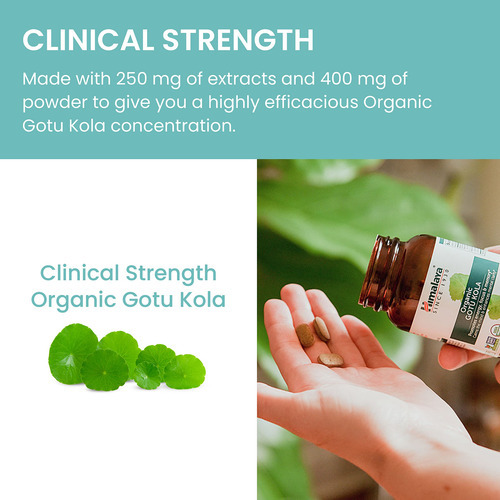 Suplemento Himalaya Organic Gotu Kola 650 Mg 90 Cápsulas - Imagem 6