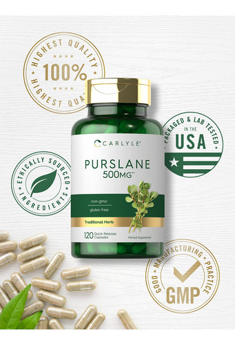 Suplemento Carlyle Purslane 500mg 120 Cápsulas - Imagem 5