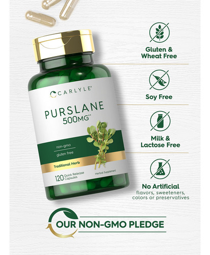 Suplemento Carlyle Purslane 500mg 120 Cápsulas - Imagem 4