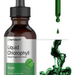Suplemento De Clorofila Líquida Horbaach 60ml Vegano Não Tra