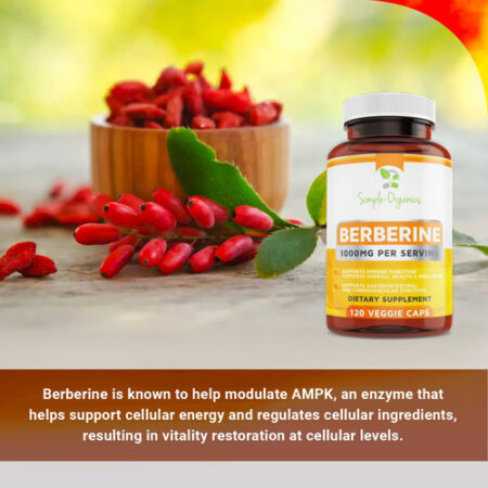 Suplemento Simple-organics Berberine 500 Mg (1000 Mg/porção) - Imagem 3