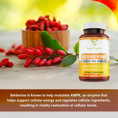 Suplemento Simple-organics Berberine 500 Mg (1000 Mg/porção) - Imagem 3