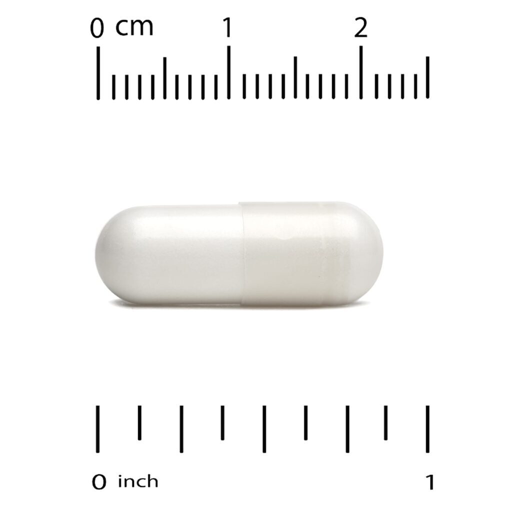 Super Nutrition Glicosamina Condroitina e MSM com Potássio e Vitamina C 240 Cápsulas Vegetais - Imagem 3