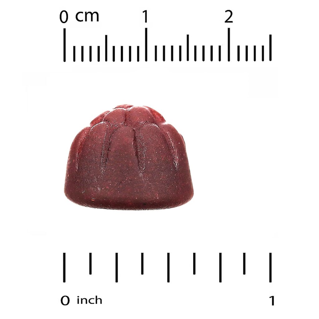 California Gold Nutrition Probiótico com Gomas de Inulina com Vitamina C Folato Mistura de Extrato de Frutos Silvestres e Inulina Orgânica Frutos Silvestres Mistos Naturais 90 Gomas Vegetarianas - Imagem 3