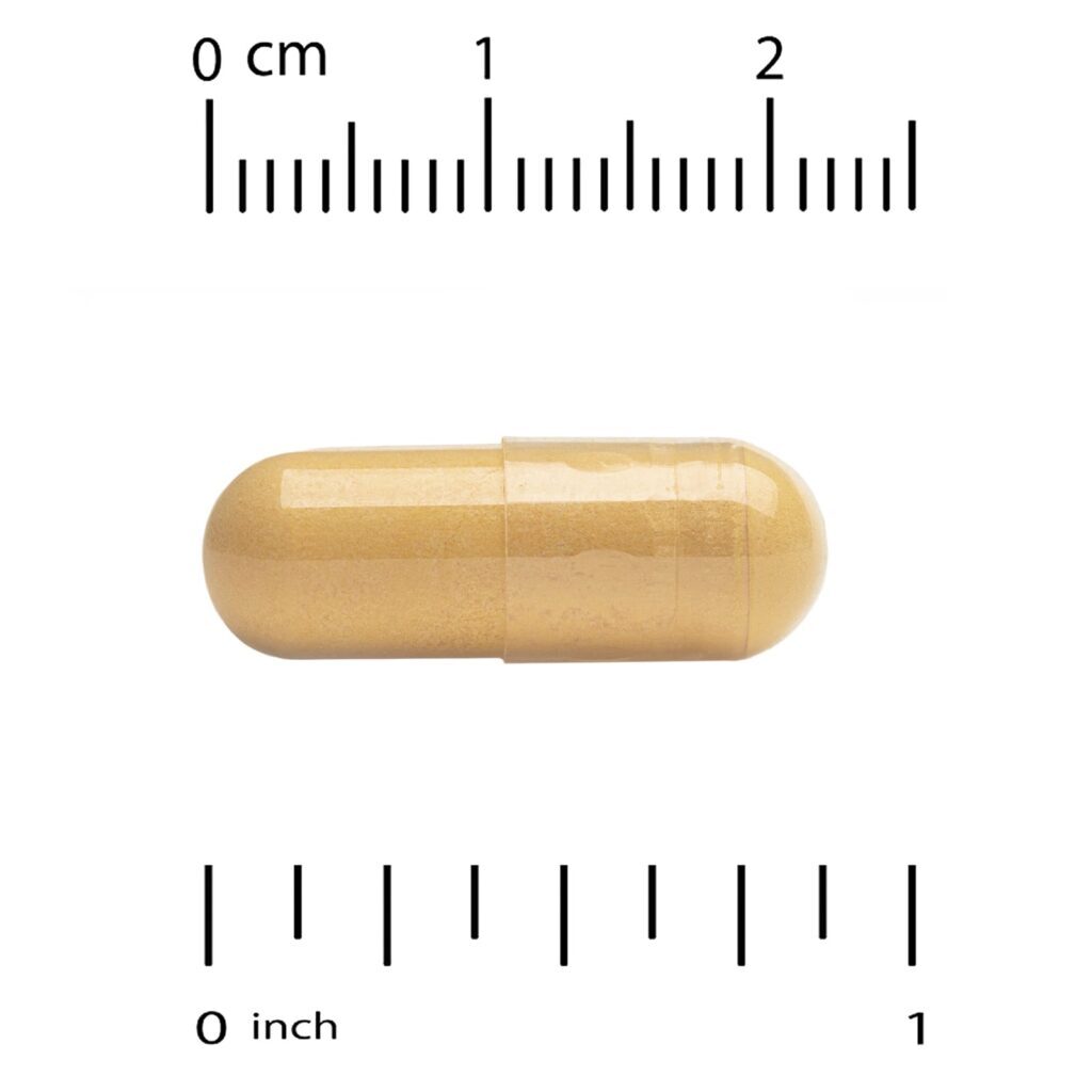 Life Extension Multivitamínico 2 por Dia V2 120 Cápsulas - Imagem 3
