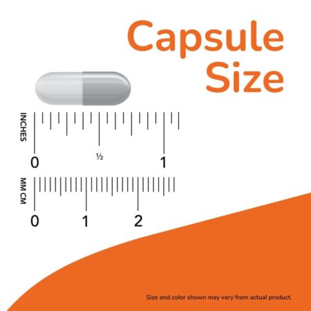 NOW Foods 5-HTP 100 mg 120 Cápsulas Vegetais - Imagem 5