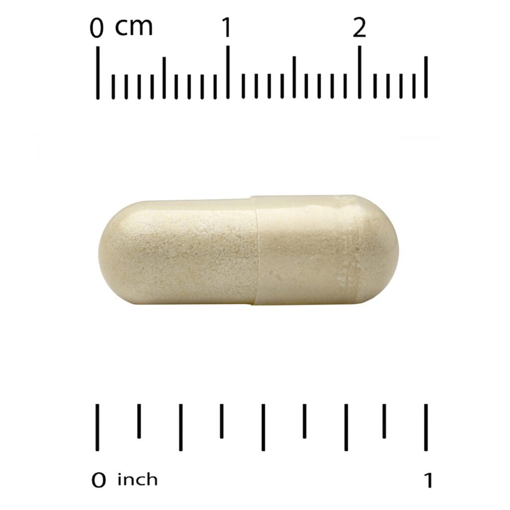 Thorne Basic Nutrients 2/Day 60 Cápsulas - Imagem 6