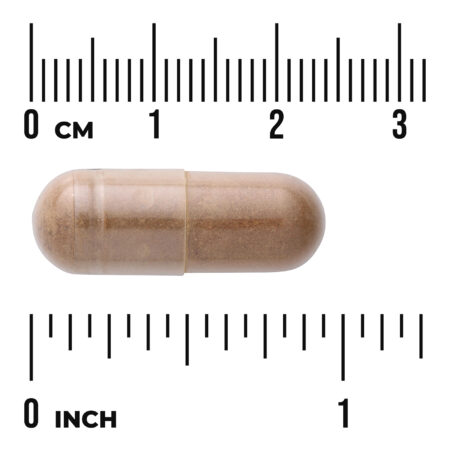 Swanson Vitamins Extrato de Chá Verde 500 mg 60 Cápsulas — foto 3