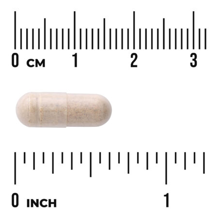 Swanson Vitamins Fórmula de Telomere 90 Cápsulas Vegetais — foto 3