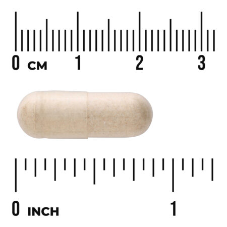 Swanson Vitamins Raiz de Inhame Selvagem 100 Cápsulas — foto 3
