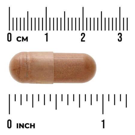 Swanson Vitamins Unha-de-gato Full Spectrum® 500 mg 100 Cápsulas - Imagem 3