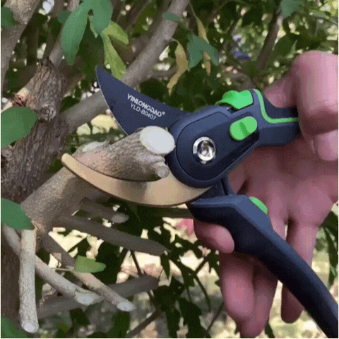 Tesoura Profissional para Poda Jardinagem