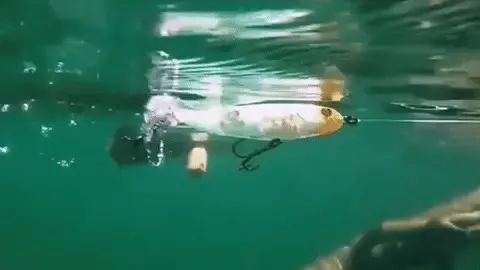 Kit Iscas Artificiais Giratória para Pesca - Compre 4 Leve 6