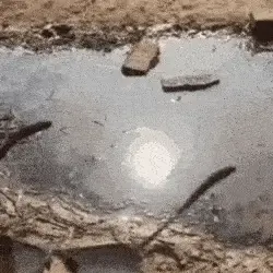 Óculos de Sol Militar Polarizado Super Vision