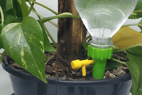 Irrigador automático para Plantas