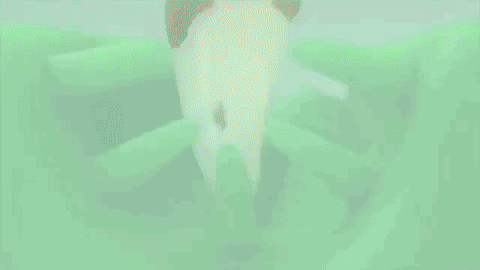Mordedor e Escova de dentes para Cães