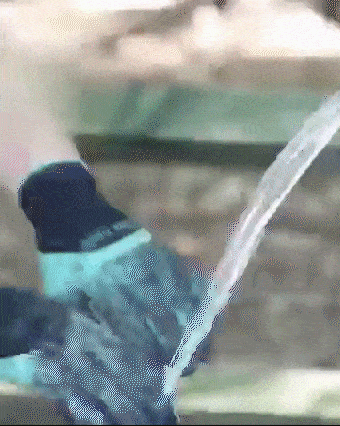 Par de Luvas com 8 Garras para Jardinagem