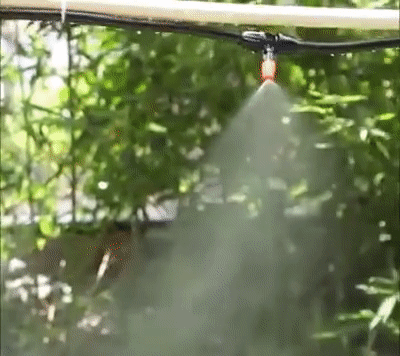 Sistema de Irrigação Profissional - Grow Plantas